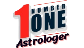 Number One Astrologer in Gujarat logo